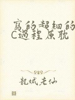 写的超细的多肉C过程原耽