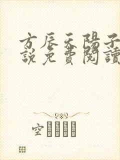 方辰天阳子的小说免费阅读