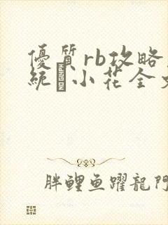 优质rb攻略系统寀小花全文免费阅读