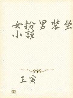 女扮男装坐江山小说