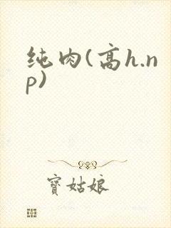 纯肉(高h.np)