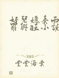 好儿媳秦雨罗明罗兴旺小说