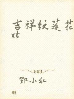 吉祥纹莲花楼txt