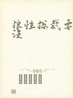 狼性总裁要够了没