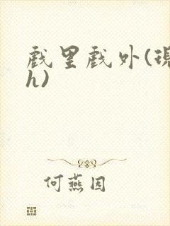 戏里戏外(现场h)