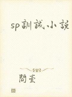 sp训诫小说