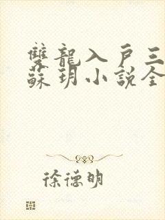 双龙入户三人行苏玥小说全文阅读