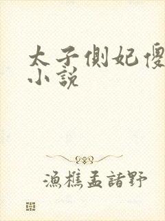 太子侧妃傻乎乎小说