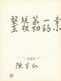 系统第一章给宿主破初的小说