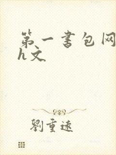 第一书包网高辣h文