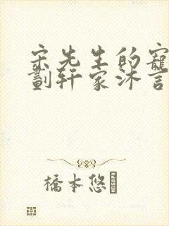 宋先生的宠妻计划轩家沐言