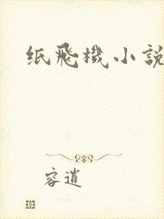 纸飞机小说