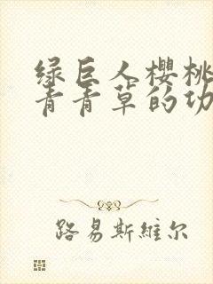 绿巨人樱桃荔枝青青草的功效