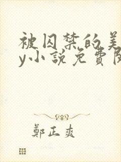 被囚禁的美人by小说免费阅读