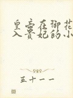 皇帝在御花园进入贵妃的小说