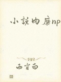 小说肉糜np