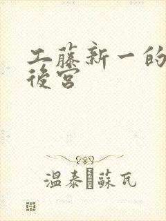 工藤新一的日本后宫