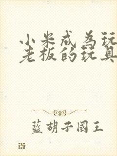 小米成为玩具店老板的玩具