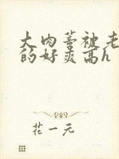 大肉蒂被老头嘬的好爽高h