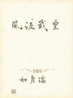 风流武皇
