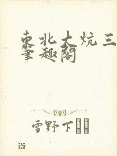 东北大炕三部曲笔趣阁