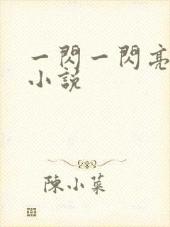 一闪一闪亮星星小说