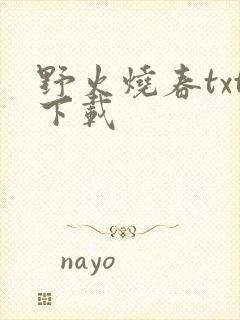 野火烧春txt下载