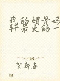 我的媚骨妈妈林轩最火的一句