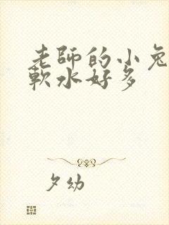 老师的小兔子好软水好多