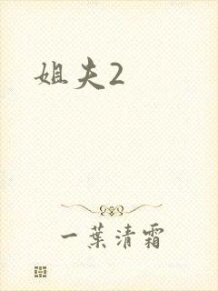 姐夫2