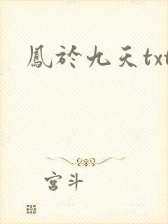 凤于九天txt