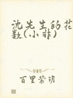 沈先生的花式调数(小非)