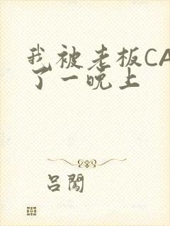 我被老板CAO了一晚上