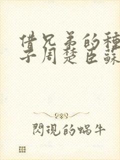 借兄弟的种生孩子周楚臣苏糖