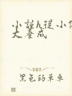 小说h从小做到大养成