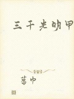 三千光明甲