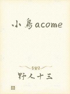 小鸟acome封面