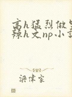 高h猛烈做哭高辣h文np小说