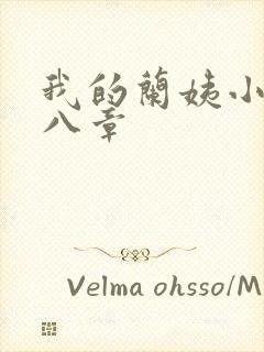 我的兰姨小说第八章