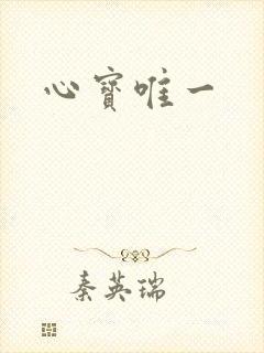 心宝唯一