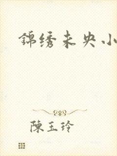 锦绣未央小说