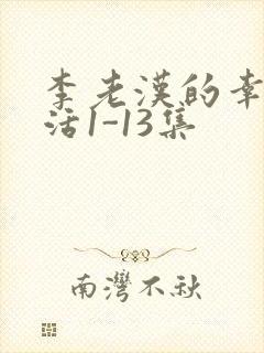 李老汉的幸福生活1-13集