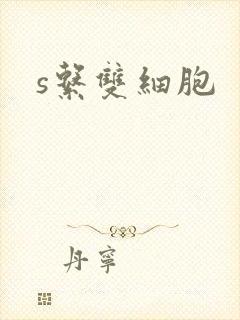 s系双细胞