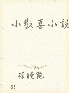 小欢喜小说