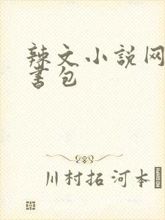 辣文小说网第二书包