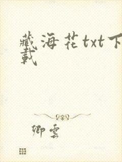 藏海花txt下载