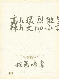 高h猛烈做哭高辣h文np小说