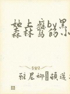 她上瘾by黑暗森林写的小说免费阅读无弹窗