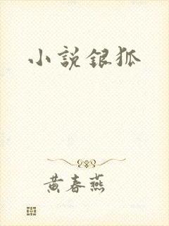 小说银狐
