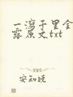 一泻千里金银花露原文txt